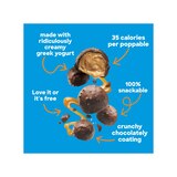 Yasso, Sea Salt Caramel Poppables, 6.84 oz, thumbnail image