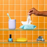 The Honey Pot Sensitive Wipes, 30 CT, thumbnail image