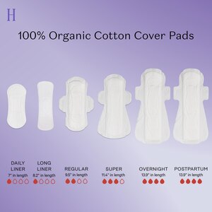 Organic Top Sheet NON Herbal Pantiliner, 30CT