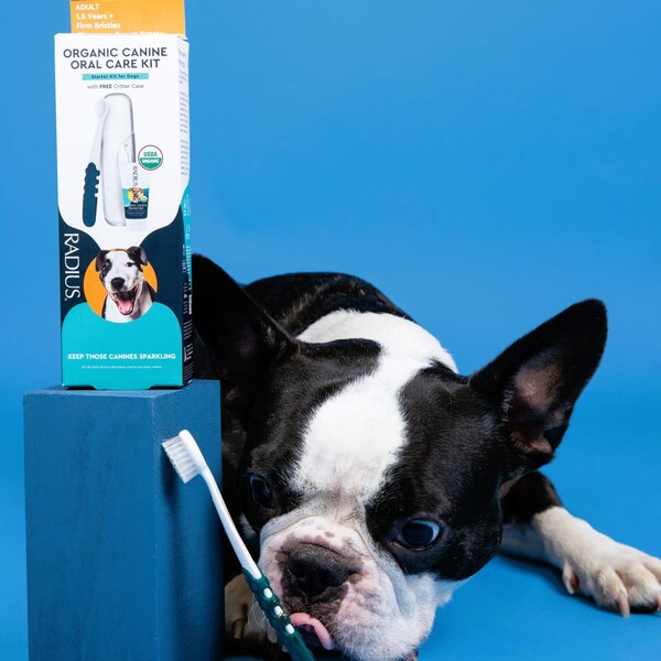 RADIUS Canine USDA Organic Dental Solutions Kit, Dog Dental Kit, Adult, Ages 1.5 yrs and over