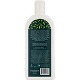 Canviiy Scalp Bliss Conditioner, 12 OZ, thumbnail image
