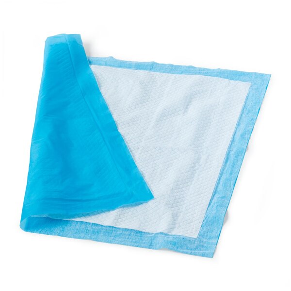 Pet Central Leak-Proof Puppy Training Pads, 22 x 22 in, 100 ct