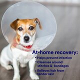 SkinSmart Antimicrobial Skin Cleaner for Pets, 8 OZ, thumbnail image