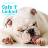 SkinSmart Antimicrobial Skin Cleaner for Pets, 8 OZ, thumbnail image