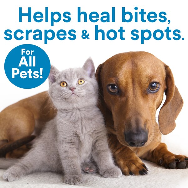SkinSmart Antimicrobial Skin Cleaner for Pets, 8 OZ