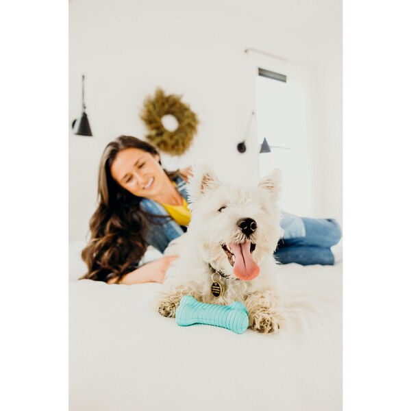 Playology Dual Layer Bone, Peanut Butter, Small