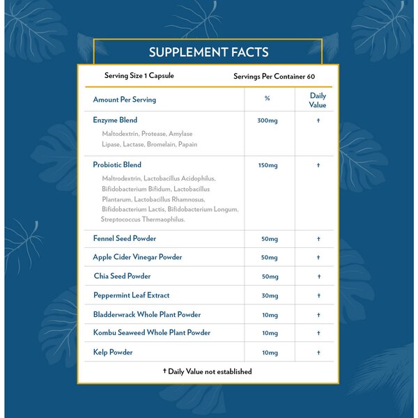 Terra Origin Digestive Enzymes with Probiotic Blend Capsules