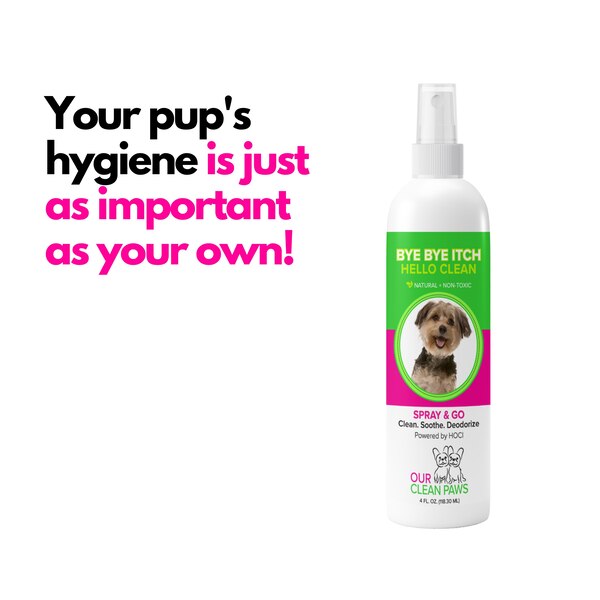 OUR CLEAN PAWS Spray & Go Cleanse, Soothe and Deodorize, 4oz