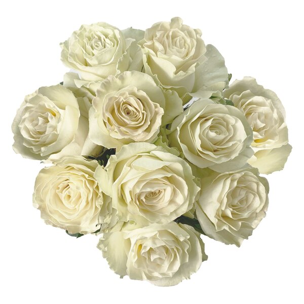 Fresh Rose Flower Bouquet, Assorted Colors