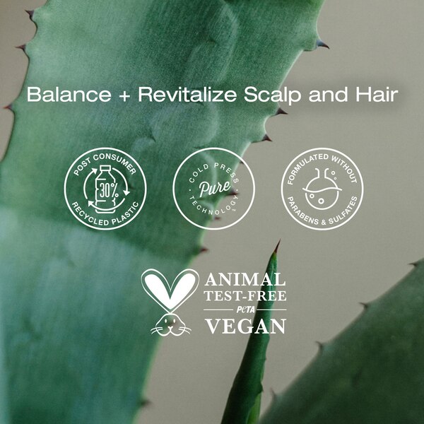 Raw Sugar The Scalp Restore Shampoo, 18 OZ