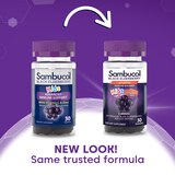 Sambucol Black Elderberry Kids Gummies, 30 CT, thumbnail image