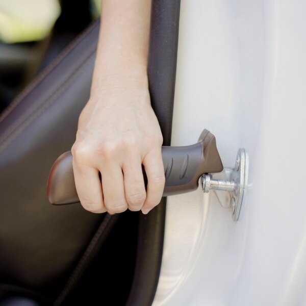 Able Life Auto Assist Grab Bar