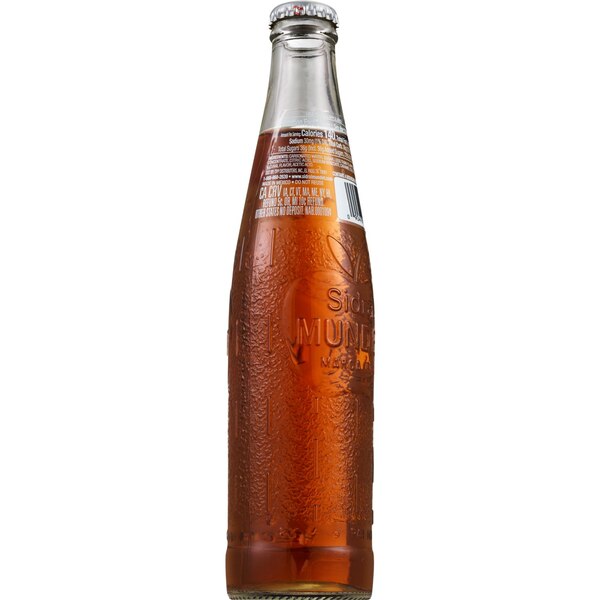 Sidral Mundet Apple Soda, 12 OZ