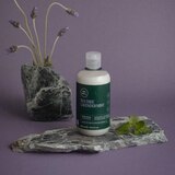 Paul Mitchell Tea Tree Lavender Mint Moisturizing Conditioner, 10.14 OZ, thumbnail image