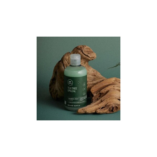 Paul Mitchell Tea Tree Special Shampoo