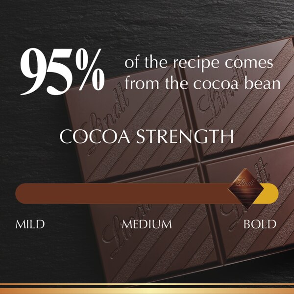 Lindt EXCELLENCE 95% Cocoa Dark Chocolate Candy Bar, Dark Chocolate Candy, 2.8 oz. Bar