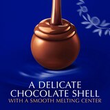 Lindt LINDOR Assorted Dark Chocolate Candy Truffles, Assorted Chocolate with Smooth, Melting Truffle Center, 15.2 oz. Bag, thumbnail image