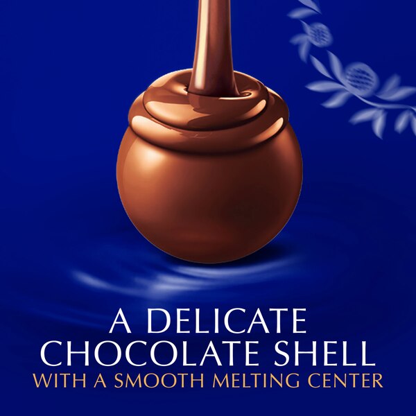 Lindt LINDOR Assorted Dark Chocolate Candy Truffles, Assorted Chocolate with Smooth, Melting Truffle Center, 15.2 oz. Bag