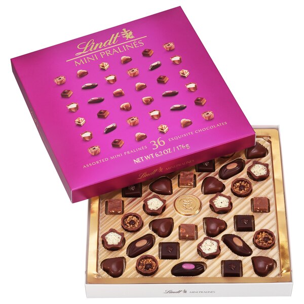 Lindt, Mini Pralines, Assorted Chocolate Pralines with Premium Filling Box, 6.2 oz