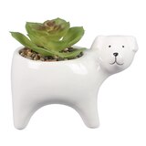 Young's Ceramic Dog Shape Planter, thumbnail image
