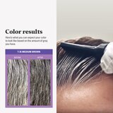 Just For Men Touch of Gray Instant Gray Blending Hair Color, thumbnail image 5 of 6