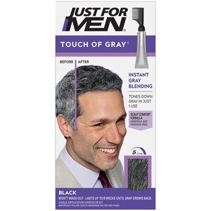 Just For Men Touch of Gray Instant Gray Blending Hair Color