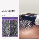 Just For Men Touch of Gray Instant Gray Blending Hair Color, thumbnail image 5 of 6
