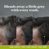 Just For Men Control GX Grey-Reducing Shampoo, 4 OZ, thumbnail image 4 of 6