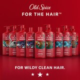 Old Spice Krakengard 2-in-1 Shampoo & Conditioner, thumbnail image 5 of 6