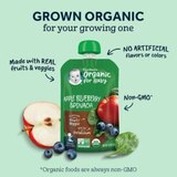Gerber 2nd Foods Organic for Baby Baby Food, Pear Spinach, 3.5 oz Pouch, thumbnail image 3 of 9