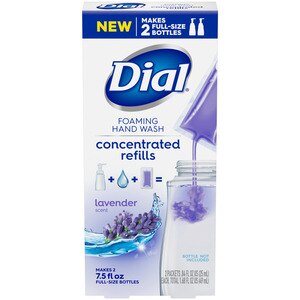 Dial Foaming Hand Wash Concentrated Refill, 2CT