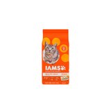 IAMS Proactive Healthy Adult Original Chicken Recipe, Dy Cat Food, thumbnail image 1 of 5