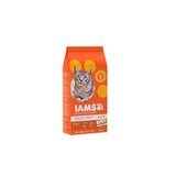 IAMS Proactive Healthy Adult Original Chicken Recipe, Dy Cat Food, thumbnail image 3 of 5