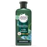 Herbal Essences Bio Renew Aloe & Eucalyptus Scalp Balance Shampoo, thumbnail image 1 of 10