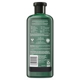 Herbal Essences Bio Renew Aloe & Eucalyptus Scalp Balance Shampoo, thumbnail image 2 of 10