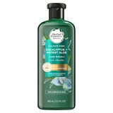 Herbal Essences Bio Renew Aloe & Eucalyptus Scalp Balance Shampoo, thumbnail image 3 of 10