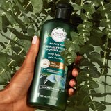 Herbal Essences Bio Renew Aloe & Eucalyptus Scalp Balance Shampoo, thumbnail image 4 of 10