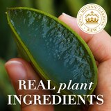 Herbal Essences Bio Renew Aloe & Eucalyptus Scalp Balance Shampoo, thumbnail image 5 of 10