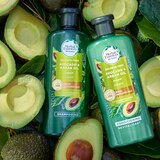 Herbal Essences Bio Renew Avocado & Argan Oil Repairing Shampoo, thumbnail image 2 of 10