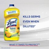 Lysol Brand New DayMulti-Surface Cleaner, 40 oz, thumbnail image 2 of 6