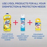 Lysol Brand New DayMulti-Surface Cleaner, 40 oz, thumbnail image 5 of 6