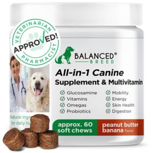 Balanced Breed All-In-1 Canine Supplement & Multivitamin - 60 Ct , CVS