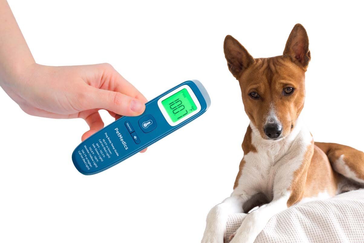 PetMedics Non-Contact Digital Pet Thermometer For Dogs , CVS