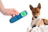 Non-Contact Digital Pet Thermometer for Dogs, thumbnail image 1 of 5