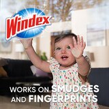 Windex with Vinegar Glass Cleaner, Spray Bottle, 23 fl oz, thumbnail image 5 of 5