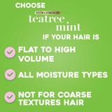OGX Extra Strength Refreshing Scalp + Teatree Mint Conditioner, thumbnail image 3 of 5