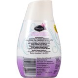 Renuzit Gel Air Freshener, 7.0 OZ, thumbnail image 2 of 6