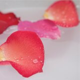 OLAY FRESH OUTLAST ROSE WATER SWEET, thumbnail image 2 of 5