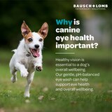 Eye Wash for Dogs by Project Watson, Fragrance Free, 4 Fl Oz, thumbnail image 3 of 6
