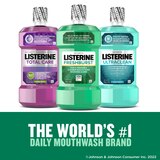 Listerine Antiseptic Mouthwash for Bad Breath, Plaque, and Gingivitis, Fresh Burst, thumbnail image 2 of 14